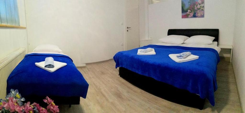 Apartma As Lesce  Zewnętrze zdjęcie